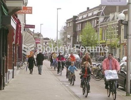 People riding bikes in Netherlands