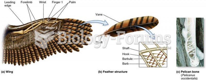 Features of the bird wing and feather