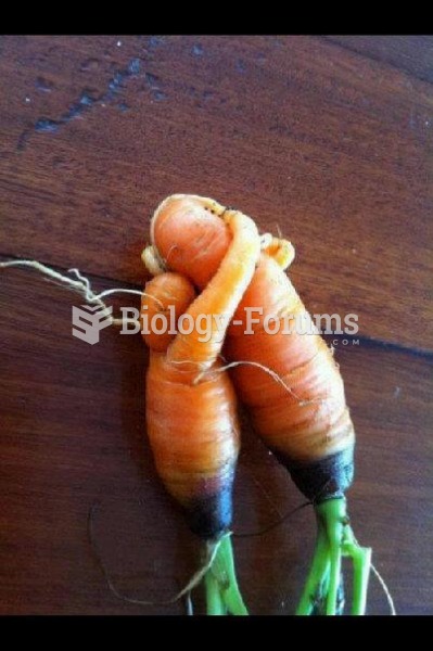 Carrot Love