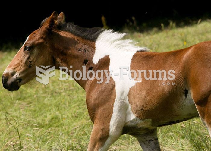 This foal was born with another horse in its fur!