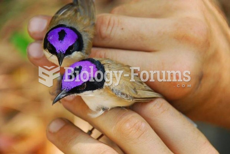 Purple-crowned fairy wren