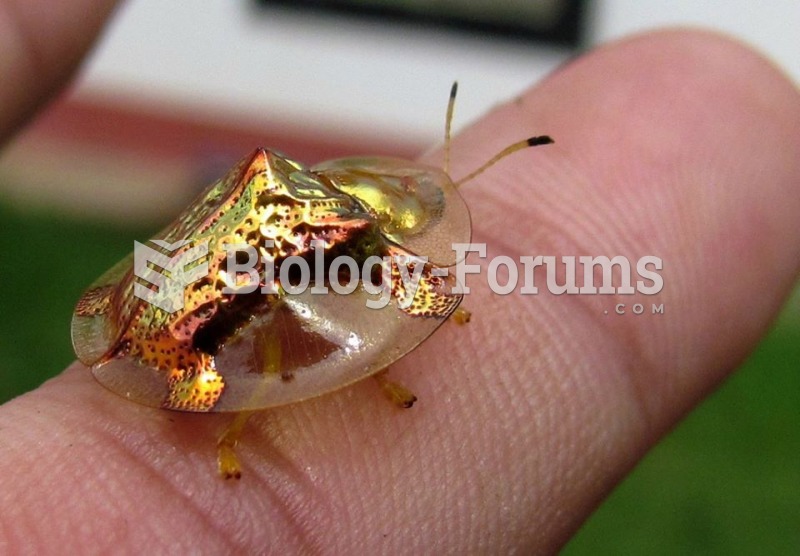 Molten gold beetle