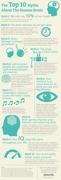 Brain myths