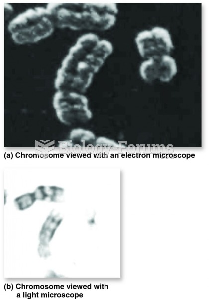 A comparison of electron and light microscope technologies