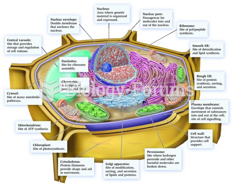 General structure of a plant cell