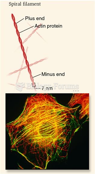 Actin filaments