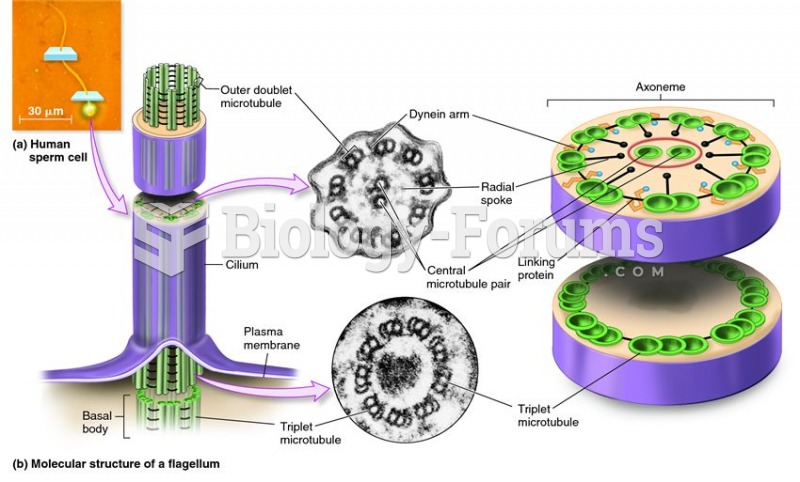 Structure of a eukaryotic flagellum