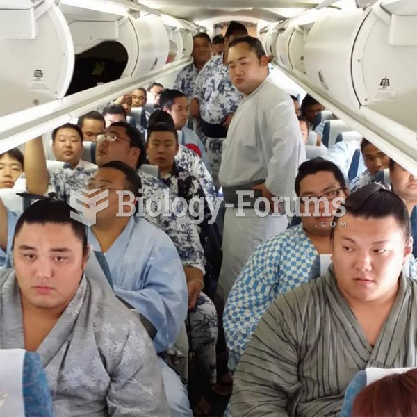 Sumo wrestlers on a plane.