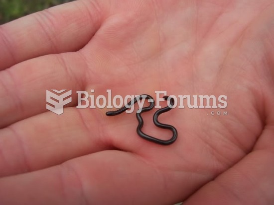 Smallest Snake