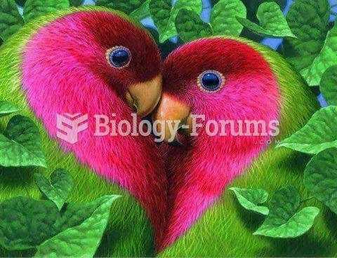 Birds in Love