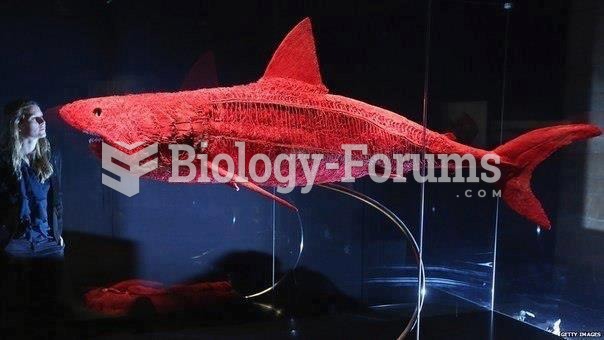 Shark Circulatory System