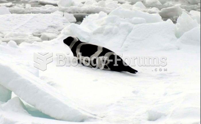 Arctic seal