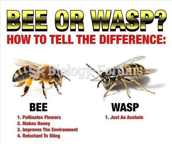 Honey bee versus Wasp