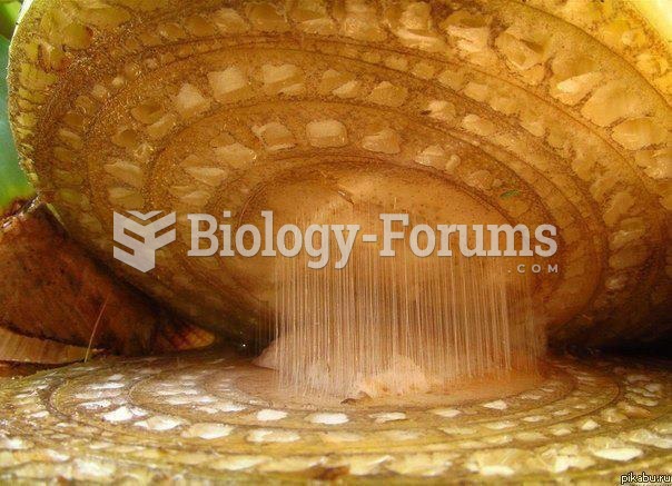 Cross-Section of a Banana Under a Microscope