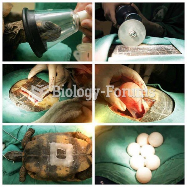 Turtle Surgery