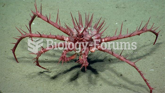 Porcupine crab