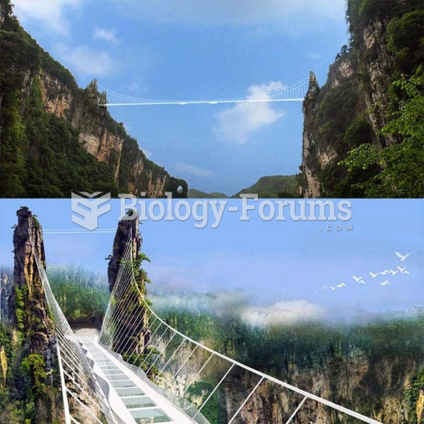 Glass pedestrian bridge in Zhangjiajie’s Grand Canyon, China