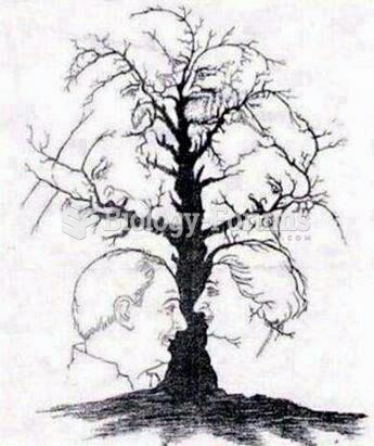 How many faces do you see