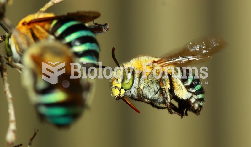 Blue-banded bees
