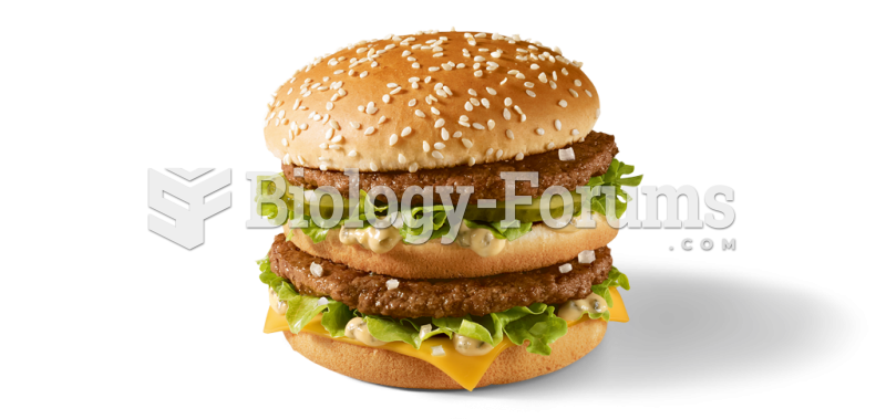 Big Mac Sandwich from McDonalds