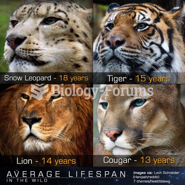Big cats lifespan