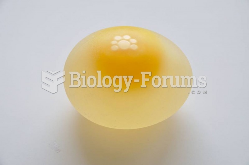 Chicken egg without its shell