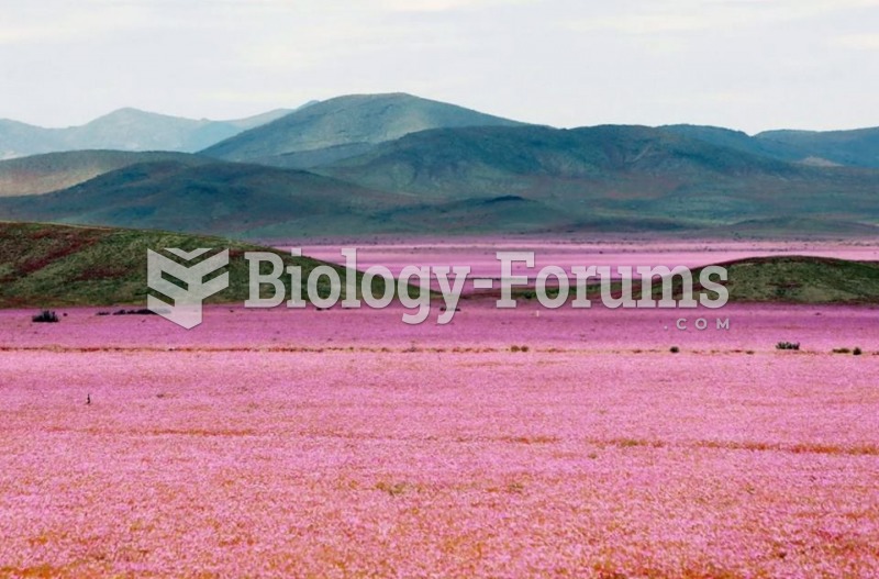 The Atacama Desert in Chile