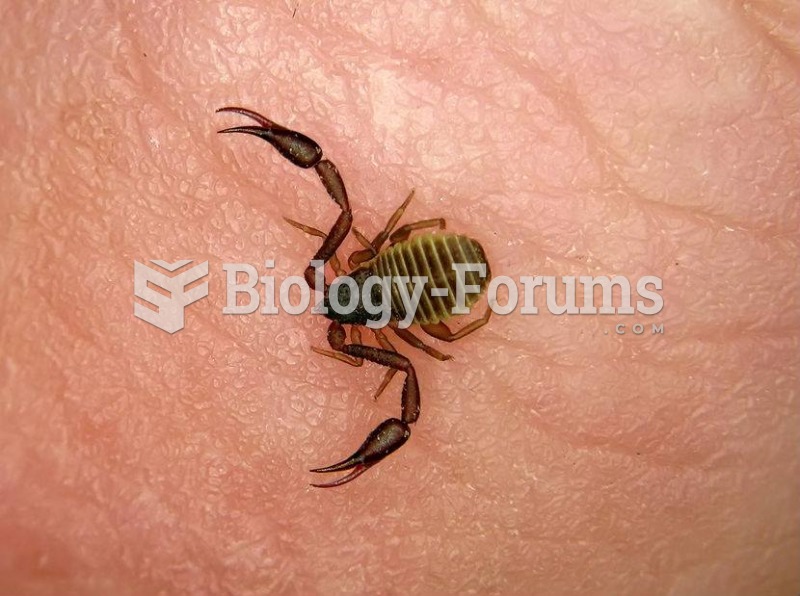 Tiny book scorpion