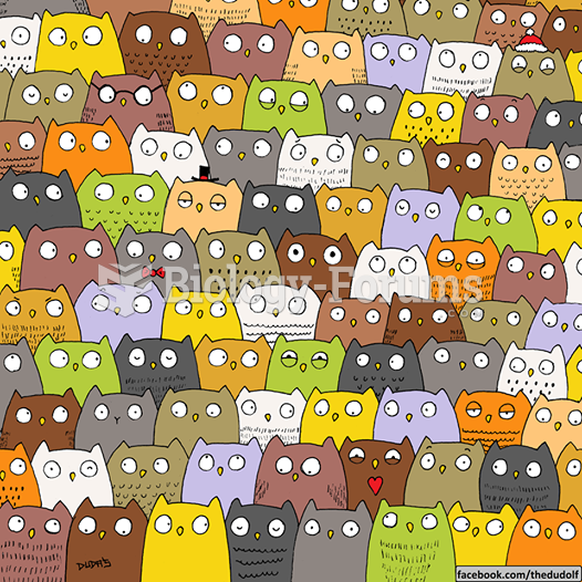 A cat is hiding amongst these owls!