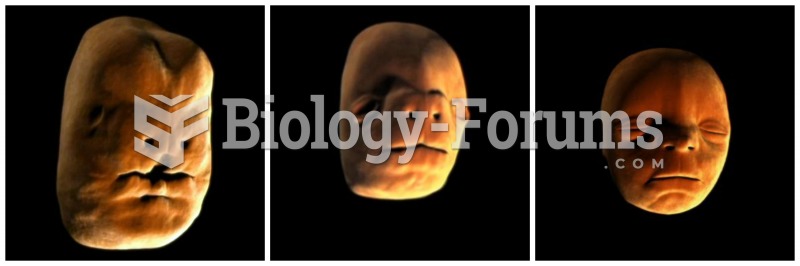 Face Development in the Womb