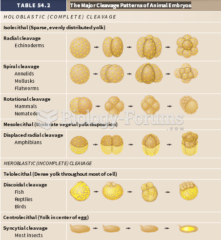 The Major Cleavage Patterns of Animal Embryos