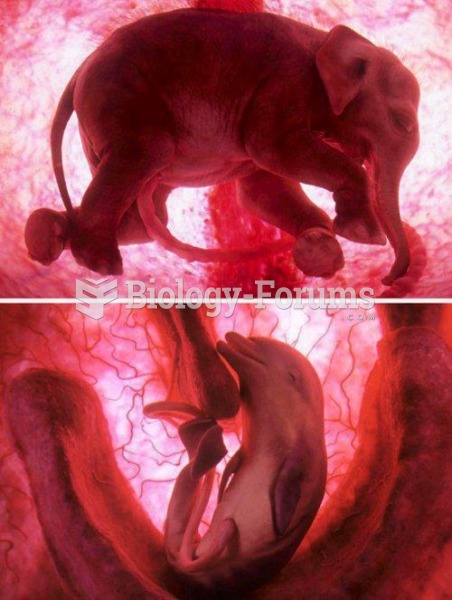 Animals in their mother's wombs