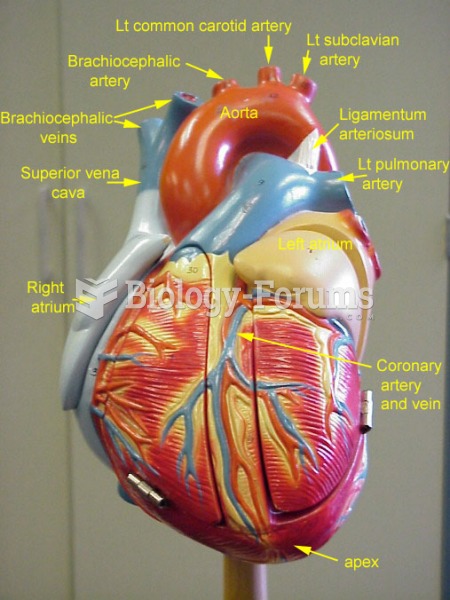 heart model front