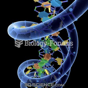 3D DNA Model