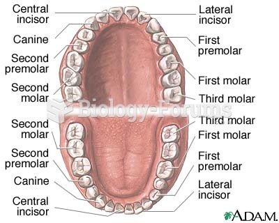 dental anatomy