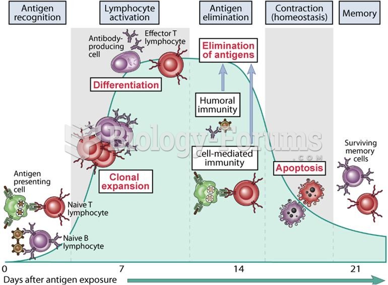 Phases of adaptive immune responses