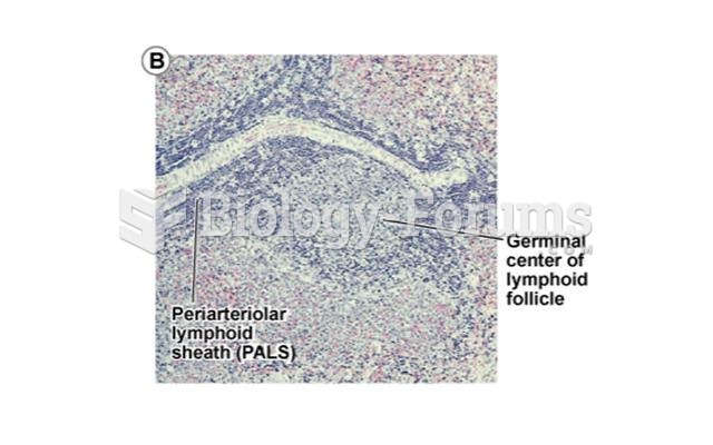 Morphology of the spleen