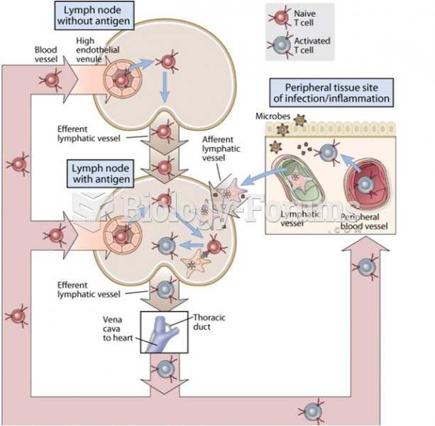 Pathways of T lymphocyte recirculation