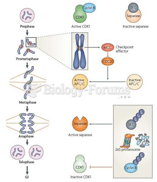 Relationship of the spindle-assembly checkpoint (SAC) with the cell-cycle machinery