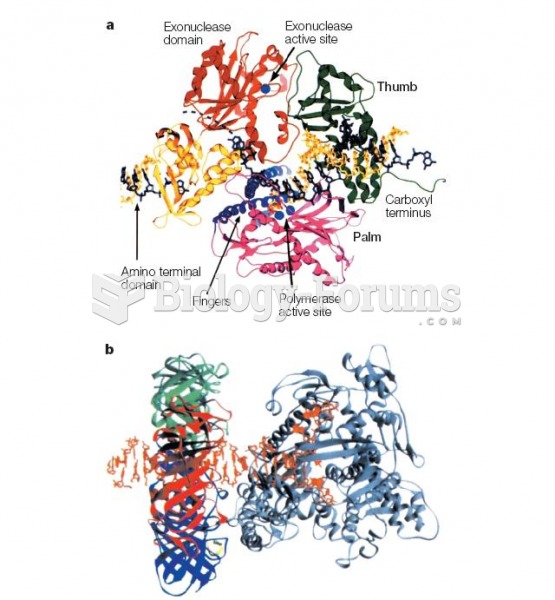 Structure of a DNA polymerase polypeptide that contains a 3'ÃƒÂ¢Ã¢â€šÂ¬Ã¢â‚¬Å“5' proofread