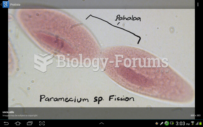 Paramecium fission