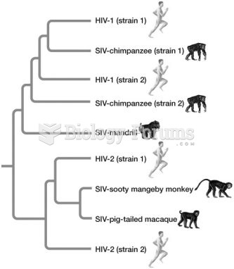 Autoimmune disease in primates
