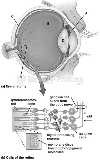 Lens of eye