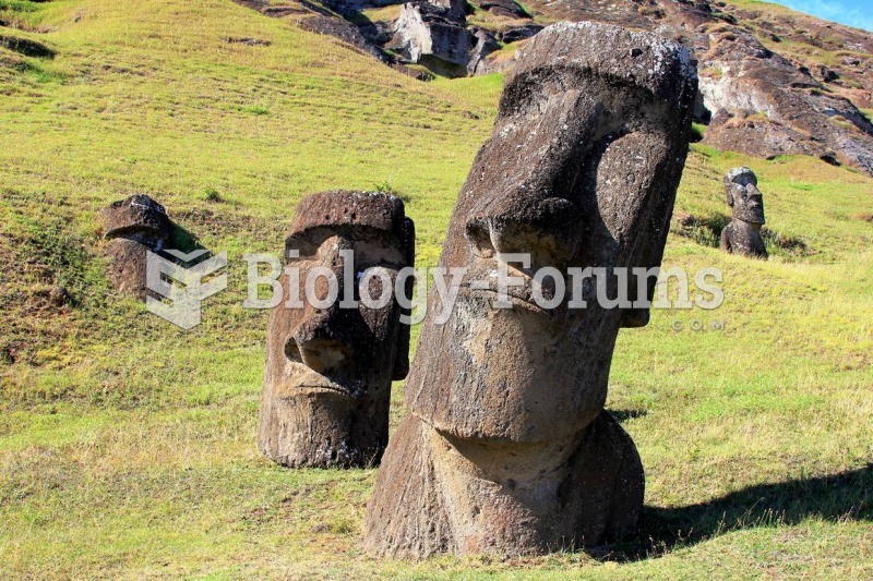 These monolithic figures from Easter Island suggest the contemplative nature of philosophy, which ca