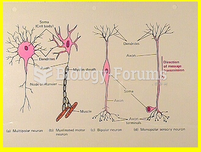 Nerve Cell