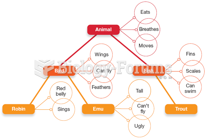 A Semantic Network Diagram for the Category “Animal”