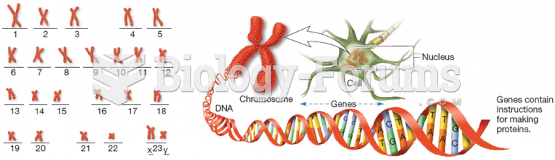 Chromosomes and the DNA molecule 