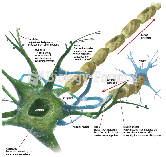 structures of the Neuron 