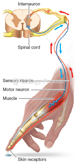 Sensory and motor neurons 