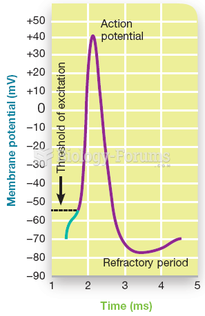 Time course and phases of a nerve cell going from resting potential to action potential 